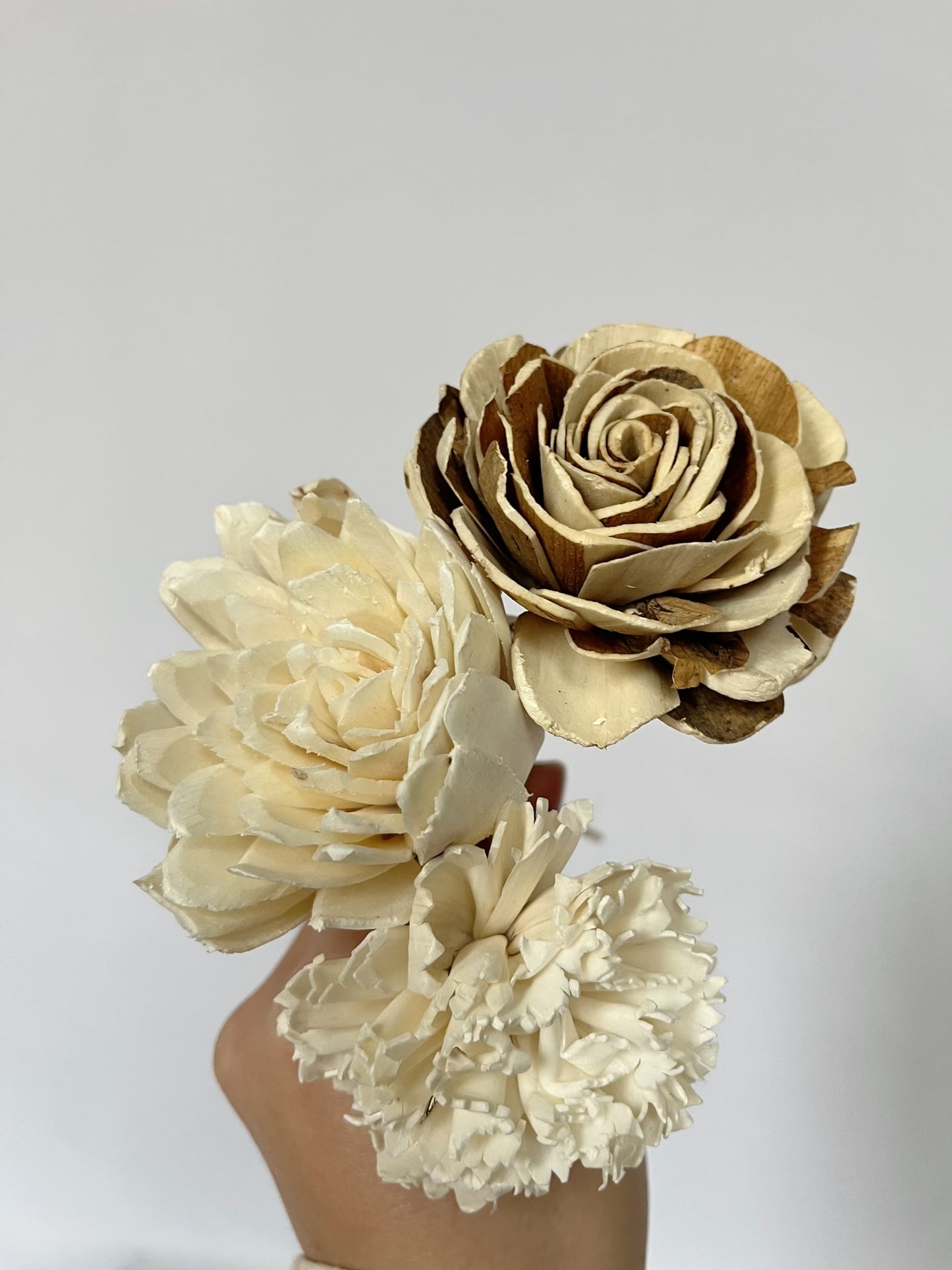 Floral Reed Bundle