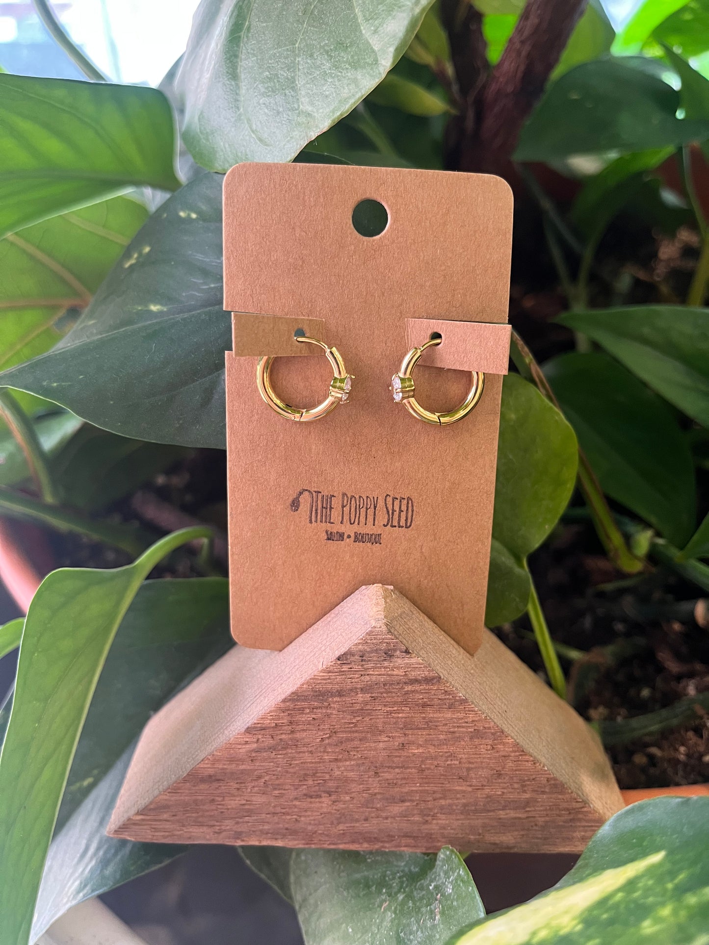 Diamond Stud Hoop Earring