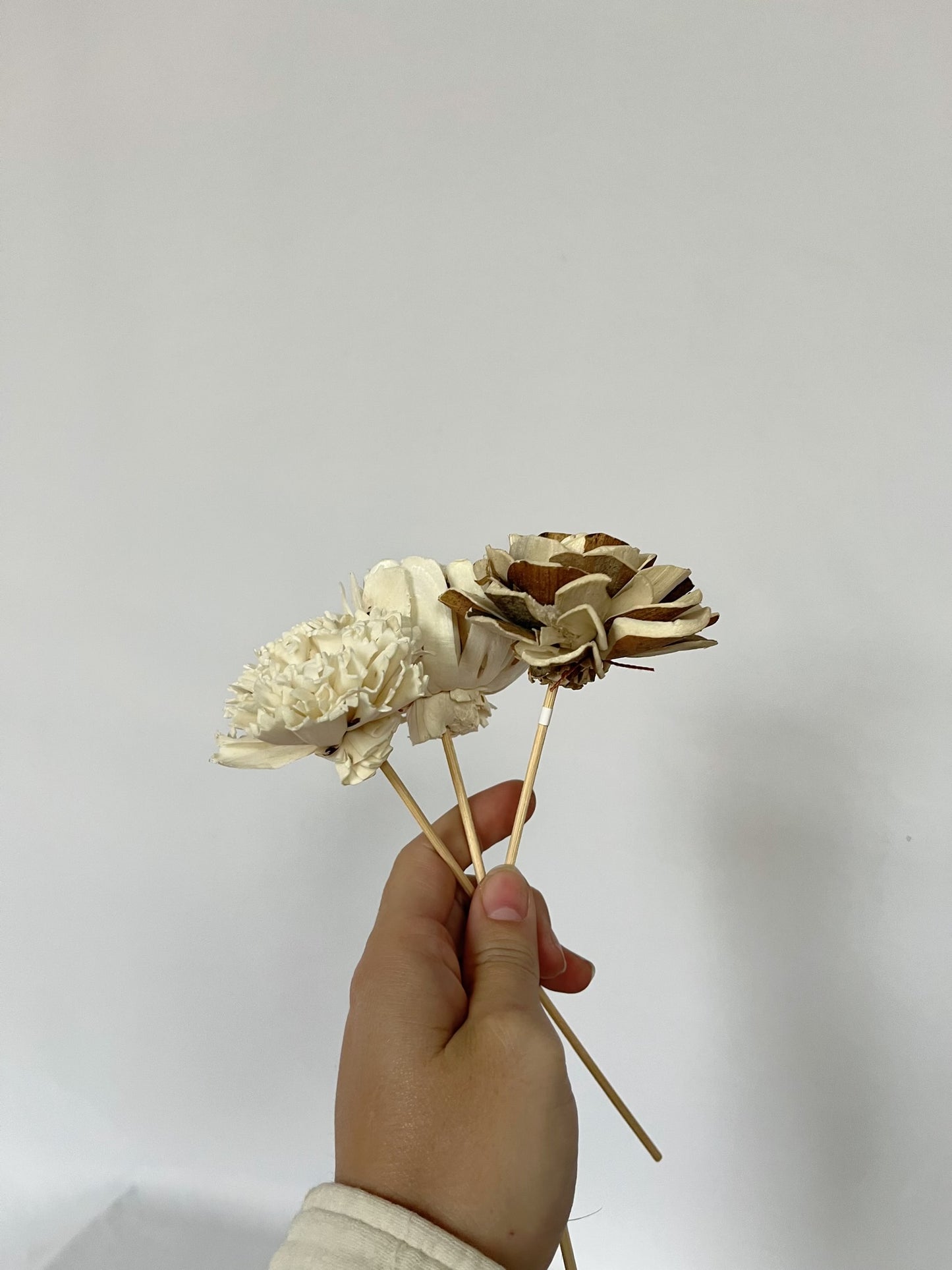 Floral Reed Bundle