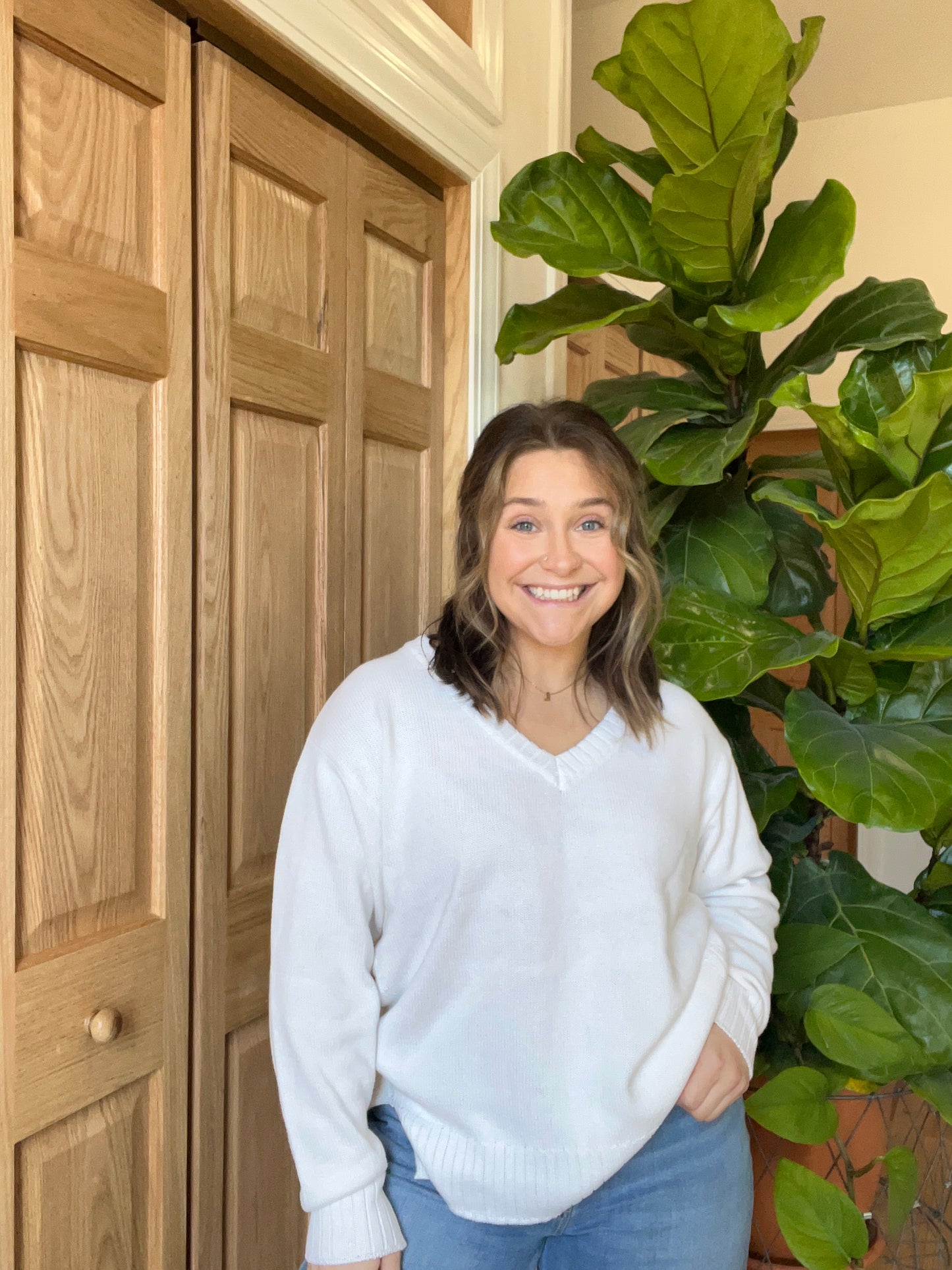 Z-Supply V-Neck Sweater