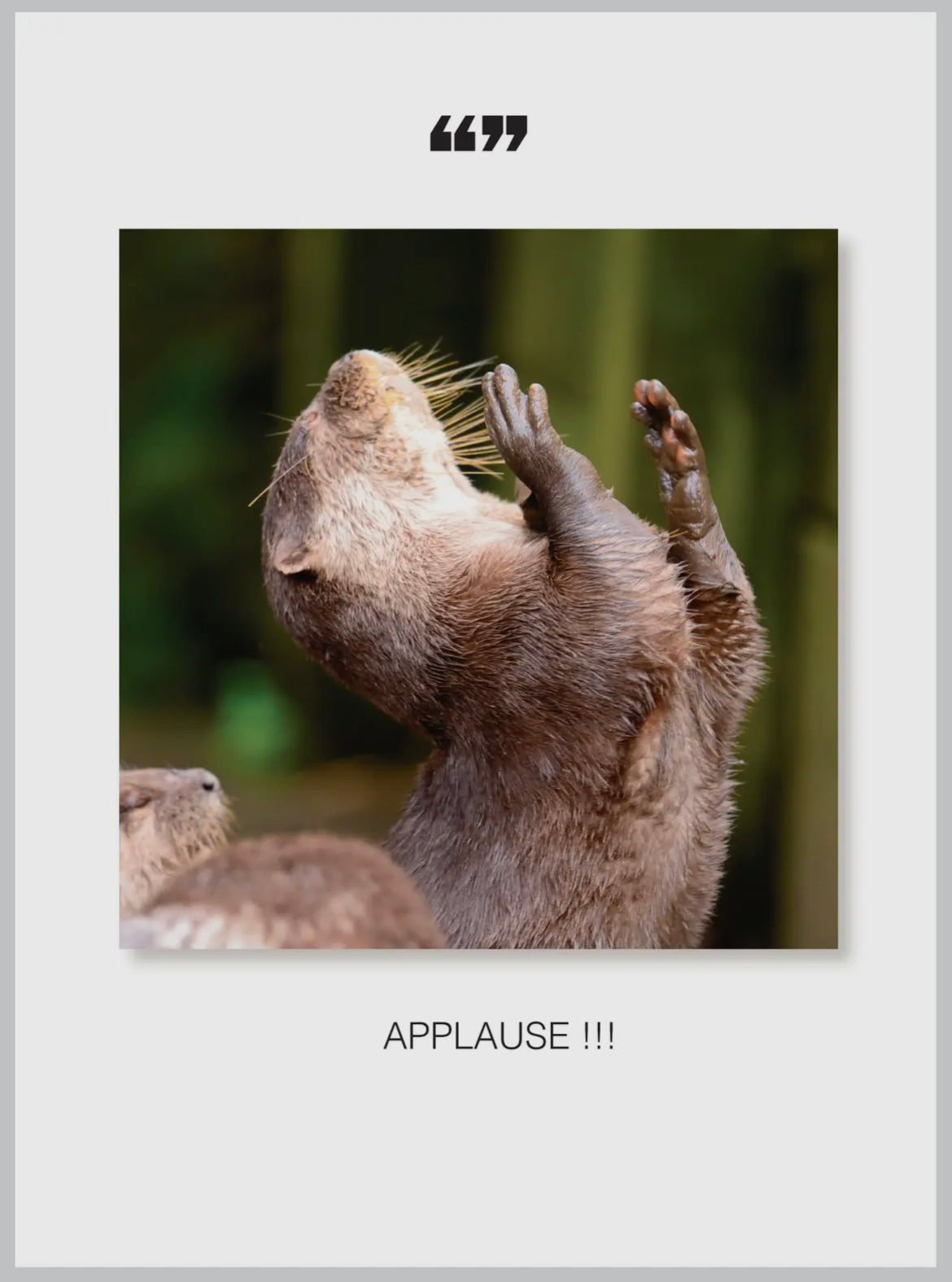 Applause Congratulations Card