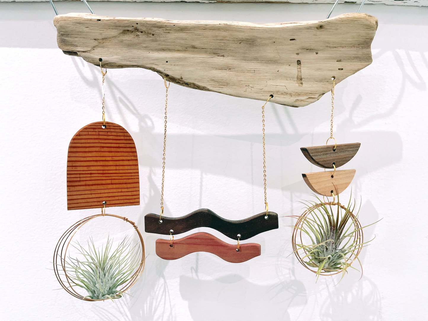 Wildly Urban Driftwood Landscape