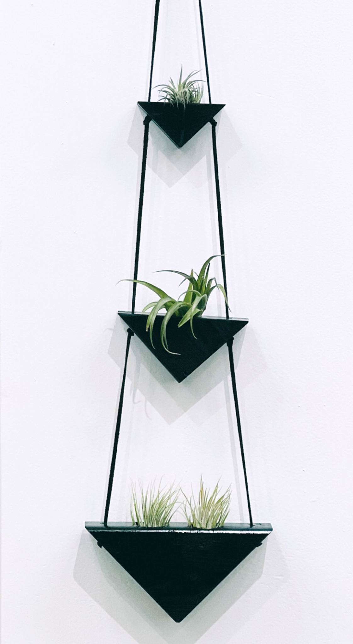 Hanging Triangles x2 Air Plant Hanger – Wildly Urban