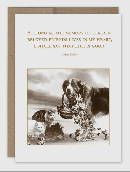 Beloved Friends Pet Sympathy Card