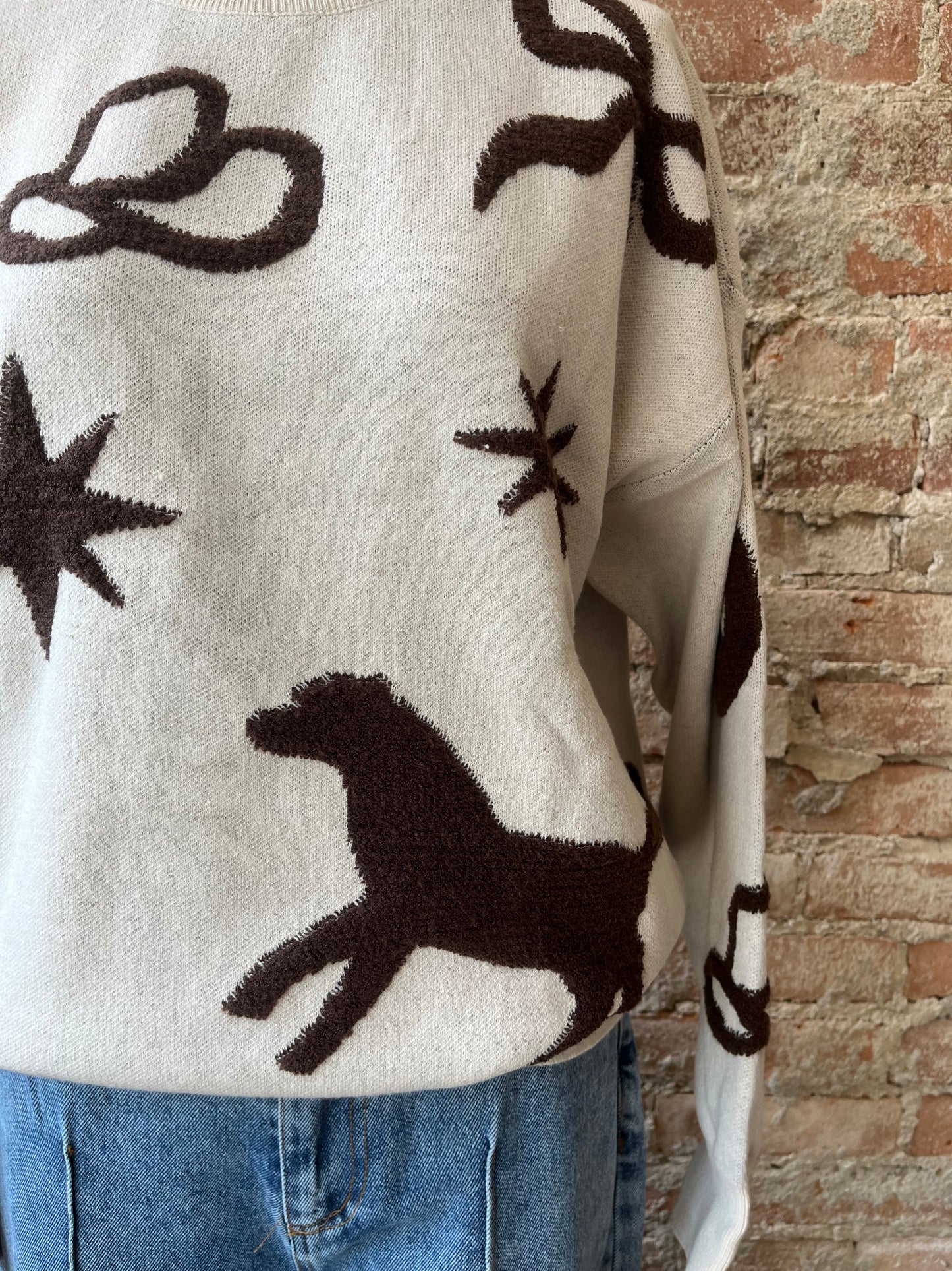 Cowboy Pattern Sweater