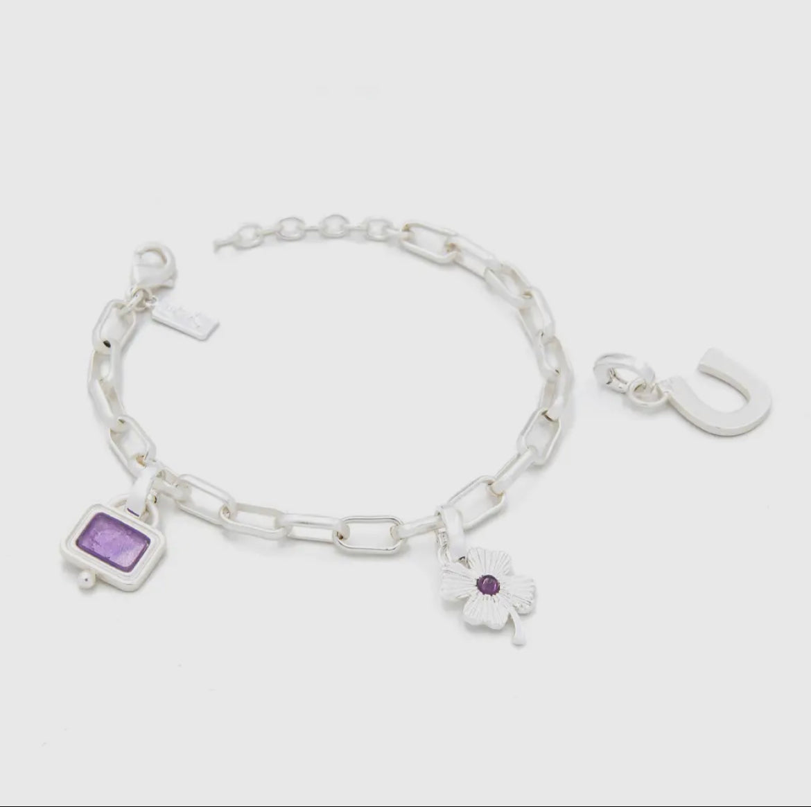 Interchangeable Charm Bracelet- Amethyst