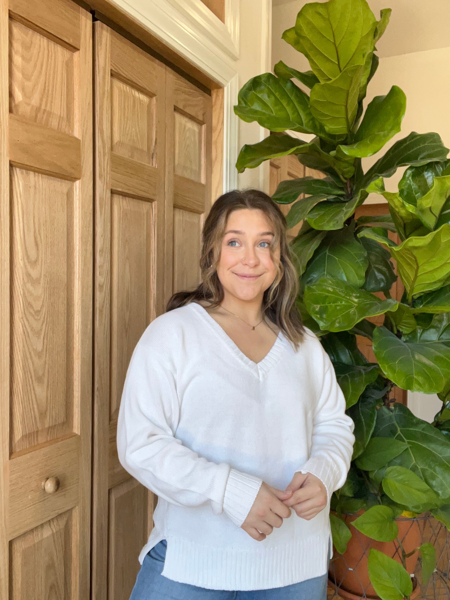 Z-Supply V-Neck Sweater