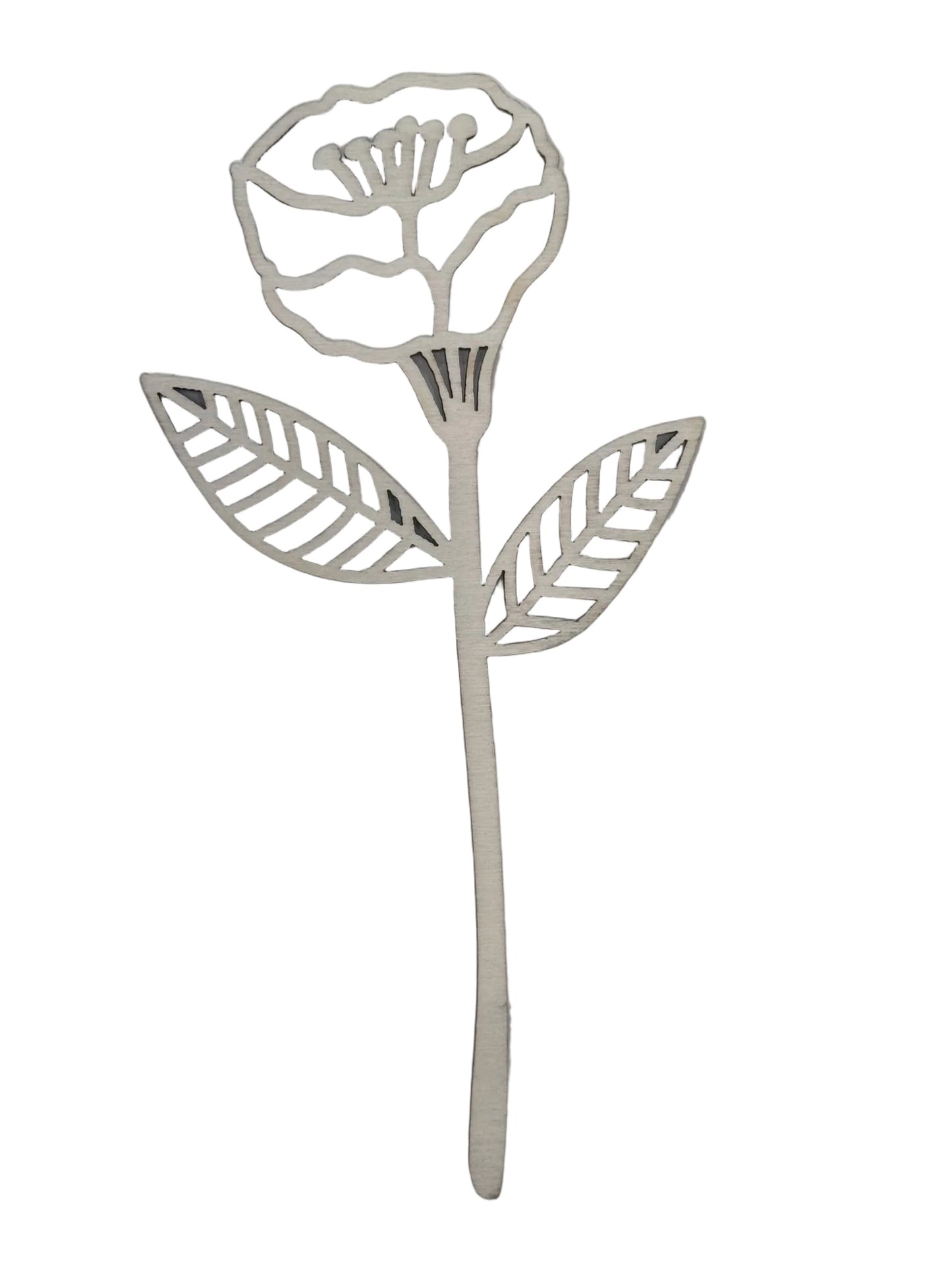 Small Wooden Wildflower Reeds