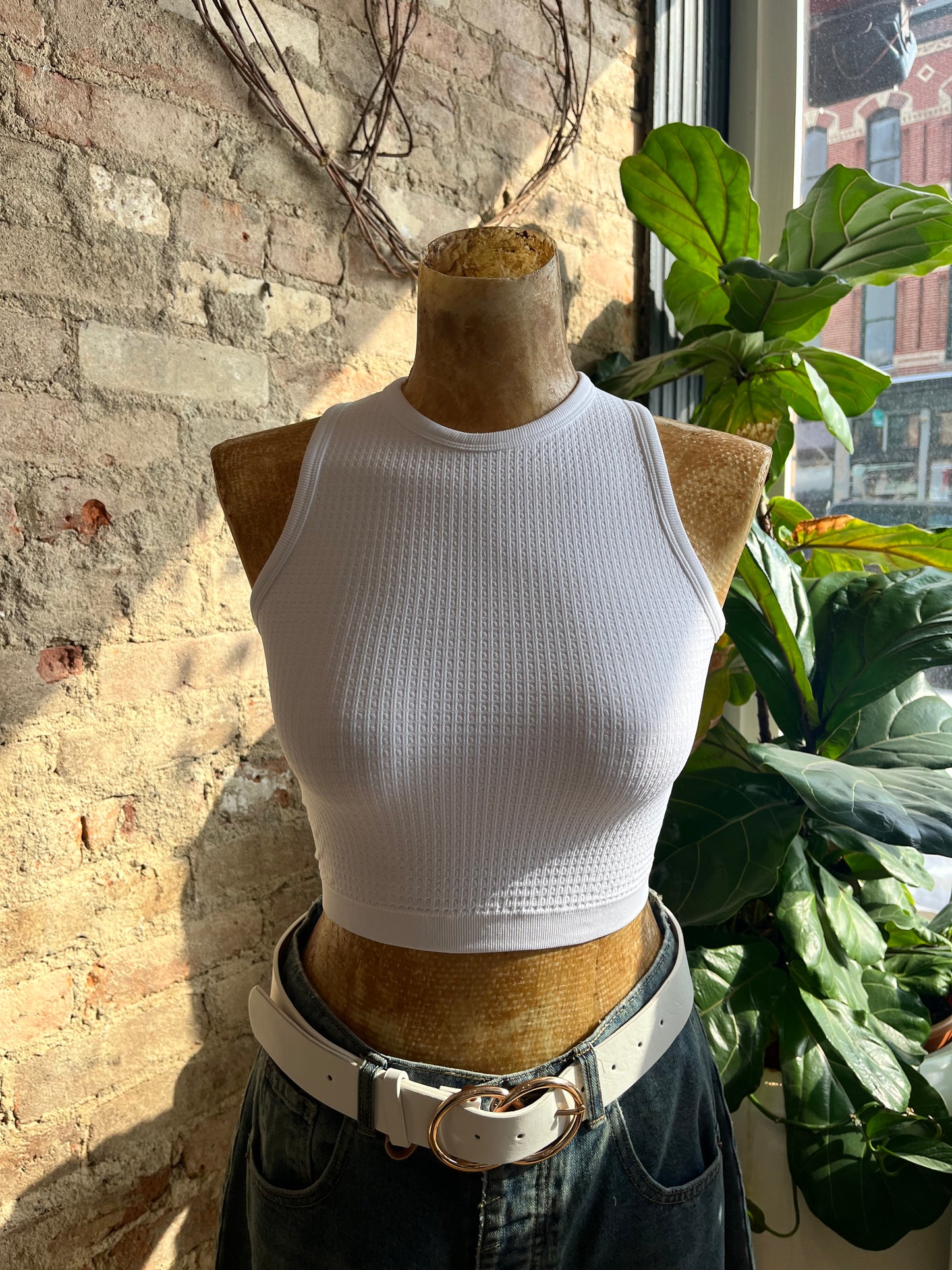 Seamless Waffle Crop Top