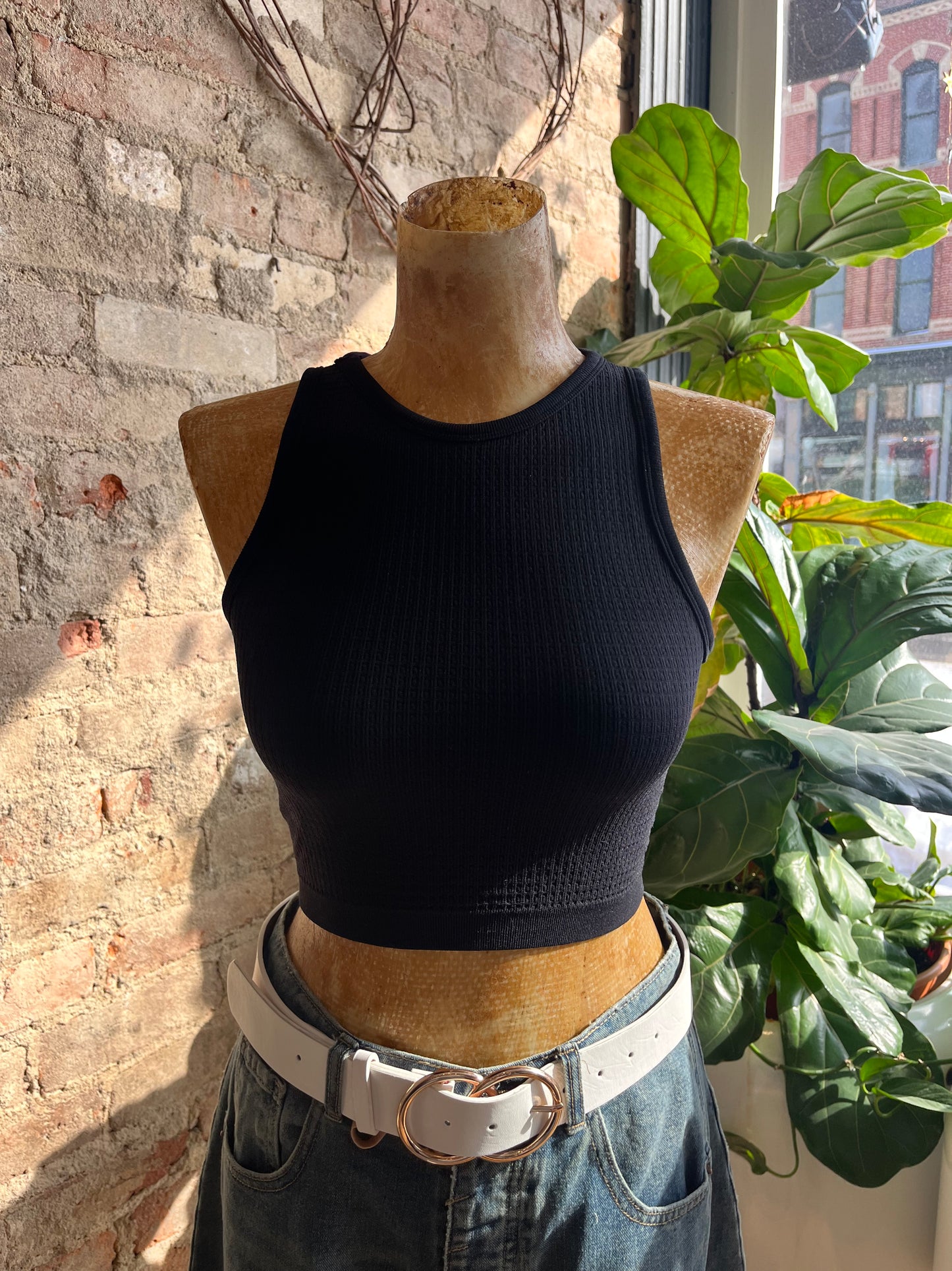 Seamless Waffle Crop Top