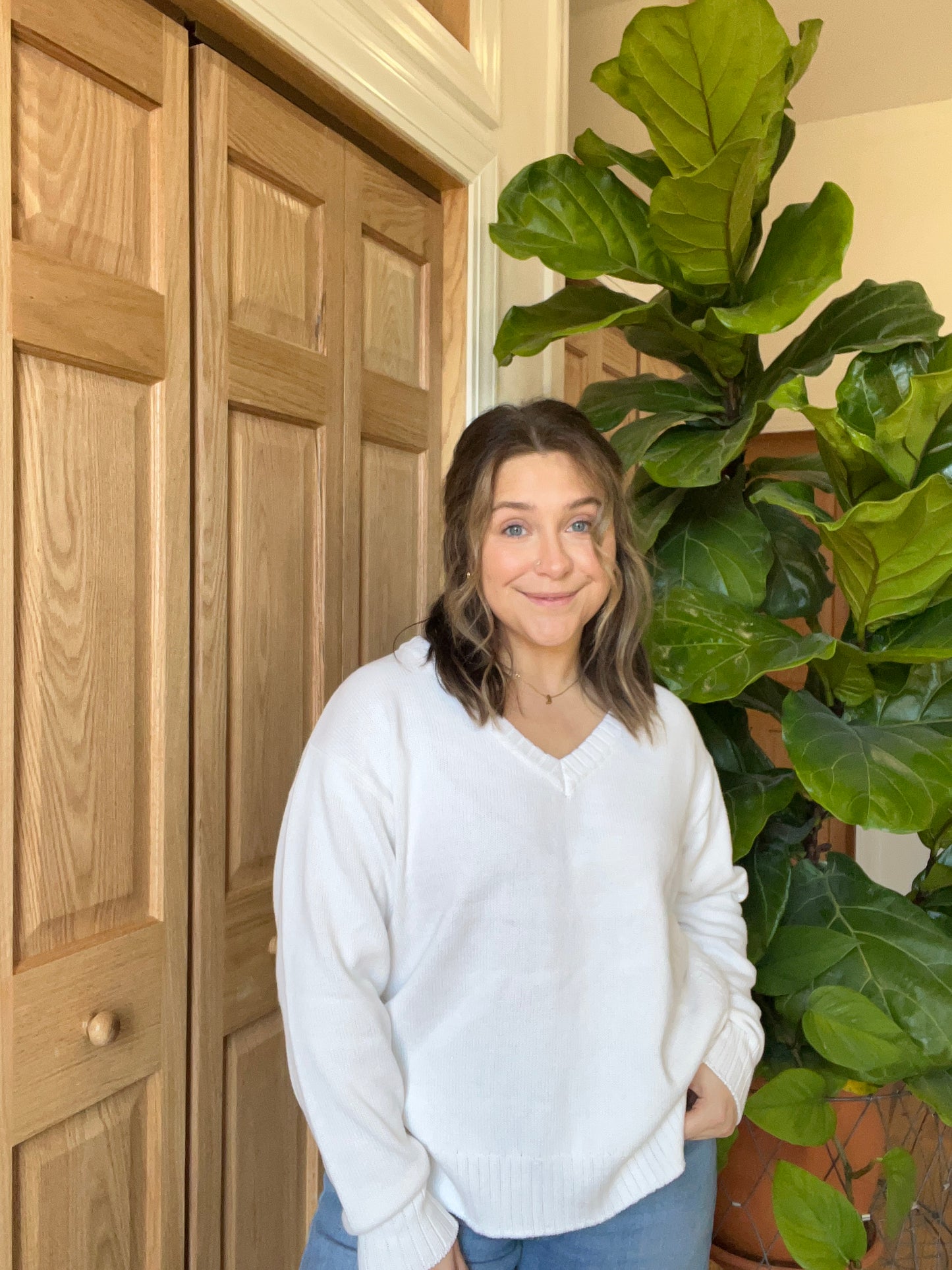 Z-Supply V-Neck Sweater