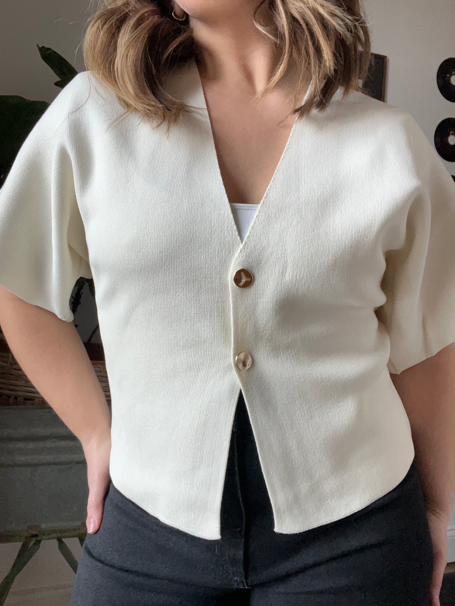 Sleek V-Neck Blouse