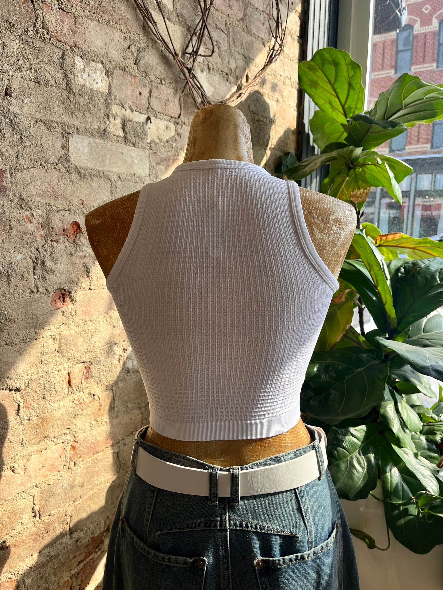 Seamless Waffle Crop Top