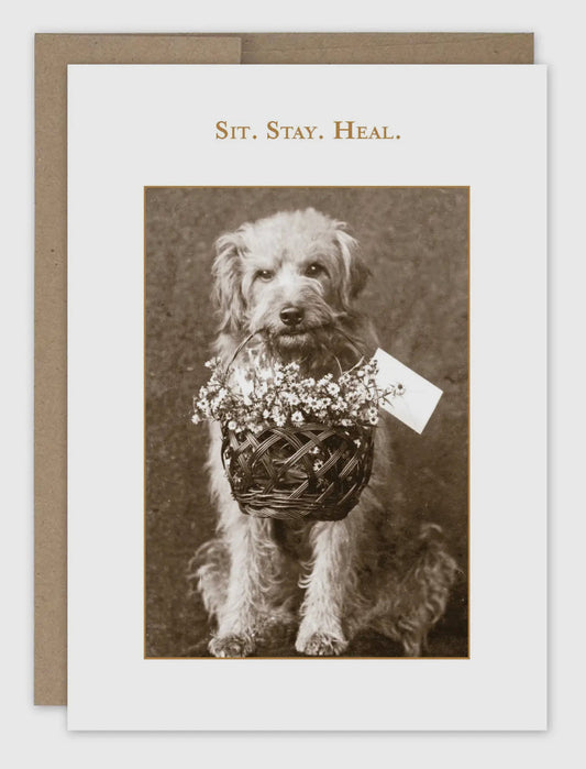 Get Well Card